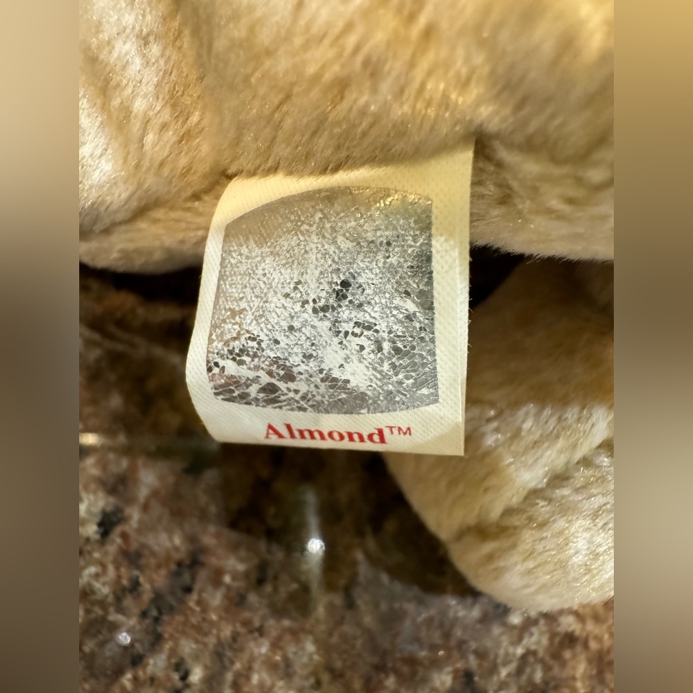 Ty Beanie Baby Almond The Bear DOB April 14, 1999 - Picture 8 of 8